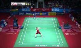 小羽毛球爆料视频,揭秘小羽毛球背后的故事